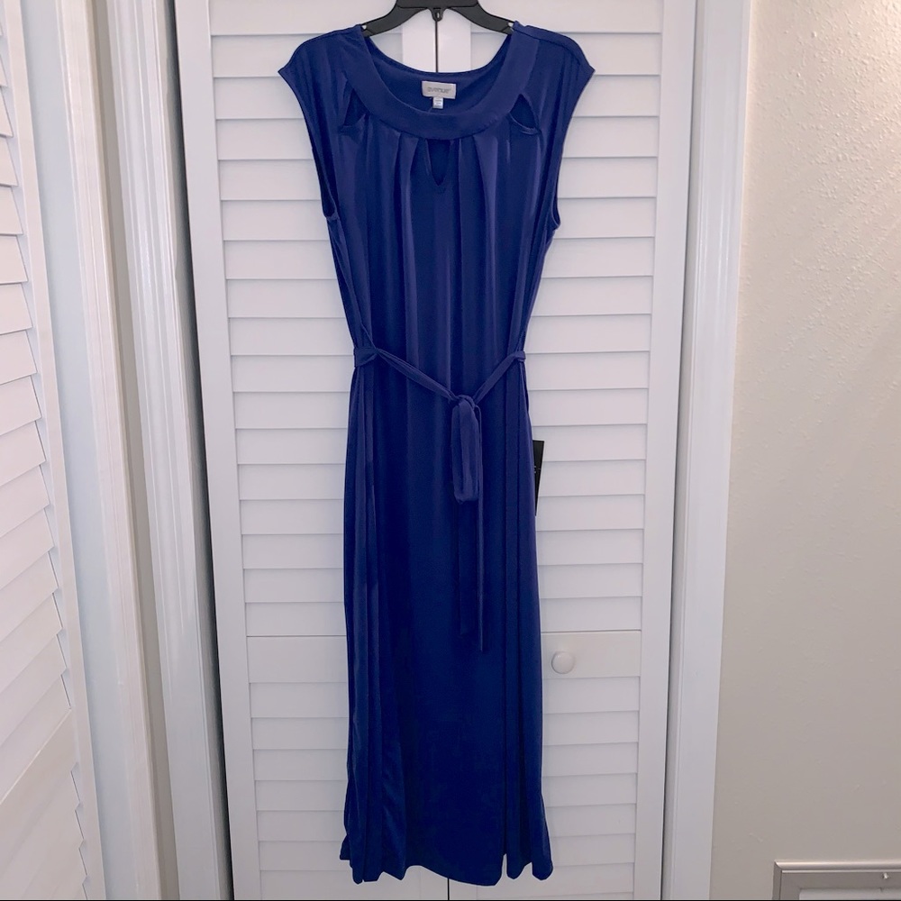 Avenue Cobalt/Royal Blue Maxi Dress